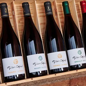 Domaine Gilles Coperet- Artisan-vigneron- D'hotes Les Glycines - Régnié